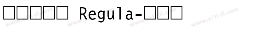 点字油漆体 Regula字体转换